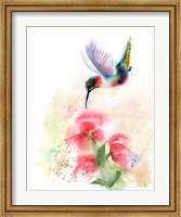 Red Flower Hummingbird Fine Art Print