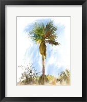 Palm Tree Fine Art Print