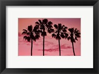 Pink Palms Fine Art Print