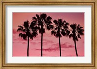Pink Palms Fine Art Print