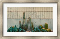 Cactus Garden Fine Art Print