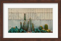 Cactus Garden Fine Art Print