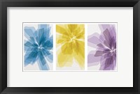 Three X-Ray Flowers Fine Art Print