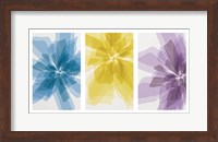 Three X-Ray Flowers Fine Art Print