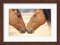 Best Friends Fine Art Print