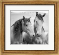 Horse Friends Fine Art Print