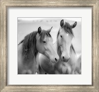 Horse Friends Fine Art Print