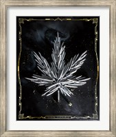 Carpe Cannabis Fine Art Print