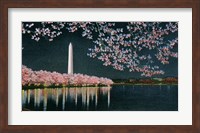 Washington at Night Fine Art Print