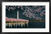 Washington at Night Fine Art Print