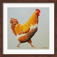 Blonde Chicken Fine Art Print