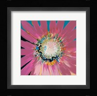 Sunshine Flower III Fine Art Print