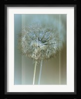 Flaura II Fine Art Print