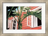 Tropical Breeze Fine Art Print