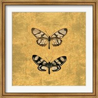 Pair of Butterflies on Gold Fine Art Print