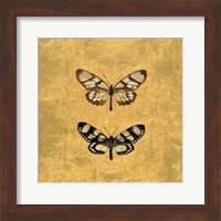 Pair of Butterflies on Gold Fine Art Print