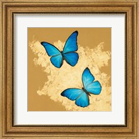 Cerulean Butterfly I Fine Art Print