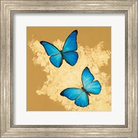 Cerulean Butterfly I Fine Art Print