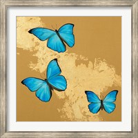 Cerulean Butterfly II Fine Art Print