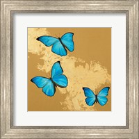Cerulean Butterfly II Fine Art Print