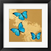 Cerulean Butterfly II Framed Print