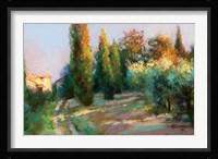 To the Villa Fine Art Print