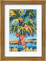 Pine Island Palm Fine Art Print