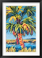 Pine Island Palm Fine Art Print