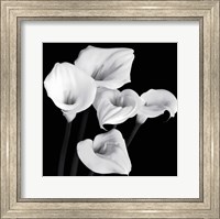 Harmony Fine Art Print