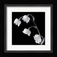 Spring Bells I Fine Art Print