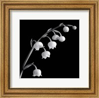 Spring Bells II Fine Art Print