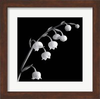 Spring Bells II Fine Art Print