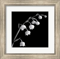 Spring Bells II Fine Art Print