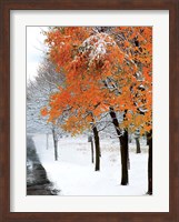 SnowFall III Fine Art Print