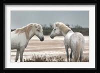Friendship Fine Art Print