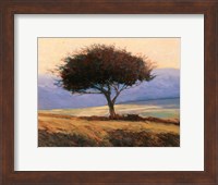 Cloondaff Fine Art Print