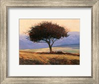 Cloondaff Fine Art Print