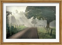 Misty Fine Art Print