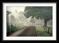 Misty Fine Art Print