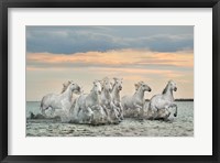 Camargue Horses - France Fine Art Print