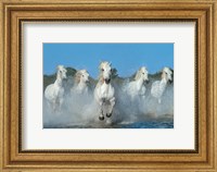 The Beautiful Five Fine Art Print