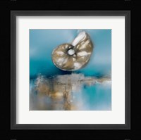 Blue Shores Nautilus Fine Art Print