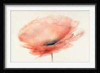 Chiffon Poppy Fine Art Print
