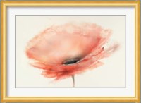 Chiffon Poppy Fine Art Print