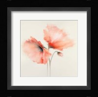 Pink Chiffon II Fine Art Print