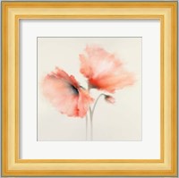 Pink Chiffon II Fine Art Print