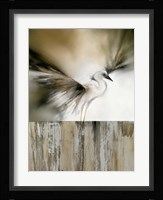 Moonlight Landing & the Egret Fine Art Print