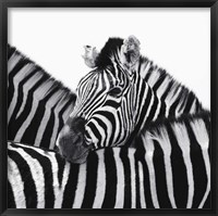 A Safe Place Fine Art Print