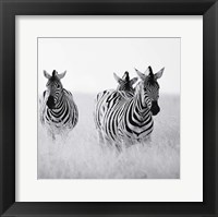 Rendezvous I Fine Art Print