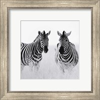 Rendezvous II Fine Art Print